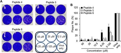 Discovery of New Potent anti-MERS CoV Fusion Inhibitors